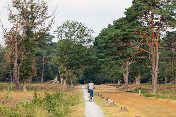 4 jours vacances à vélo en Drenthe
